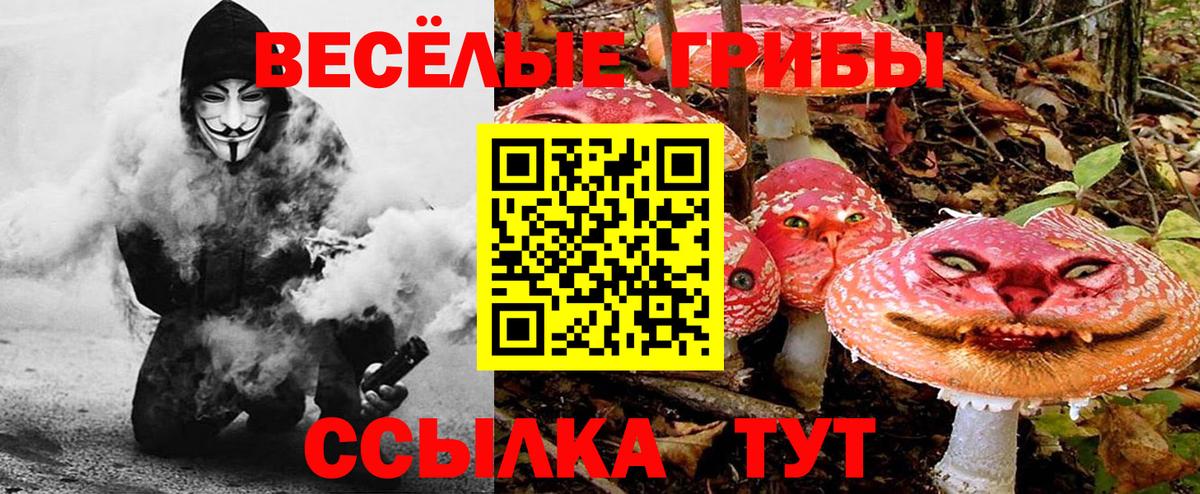 Псилоцибиновые грибы ЛСД Волгоград
