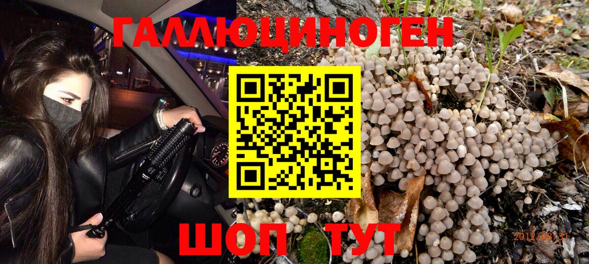 Псилоцибиновые грибы GOLDEN TEACHER  Псилоцибиновые грибы Psilocybine cubensis  Волгоград  Вход с VPN 
